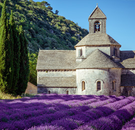 The Luberon & Les Alpilles